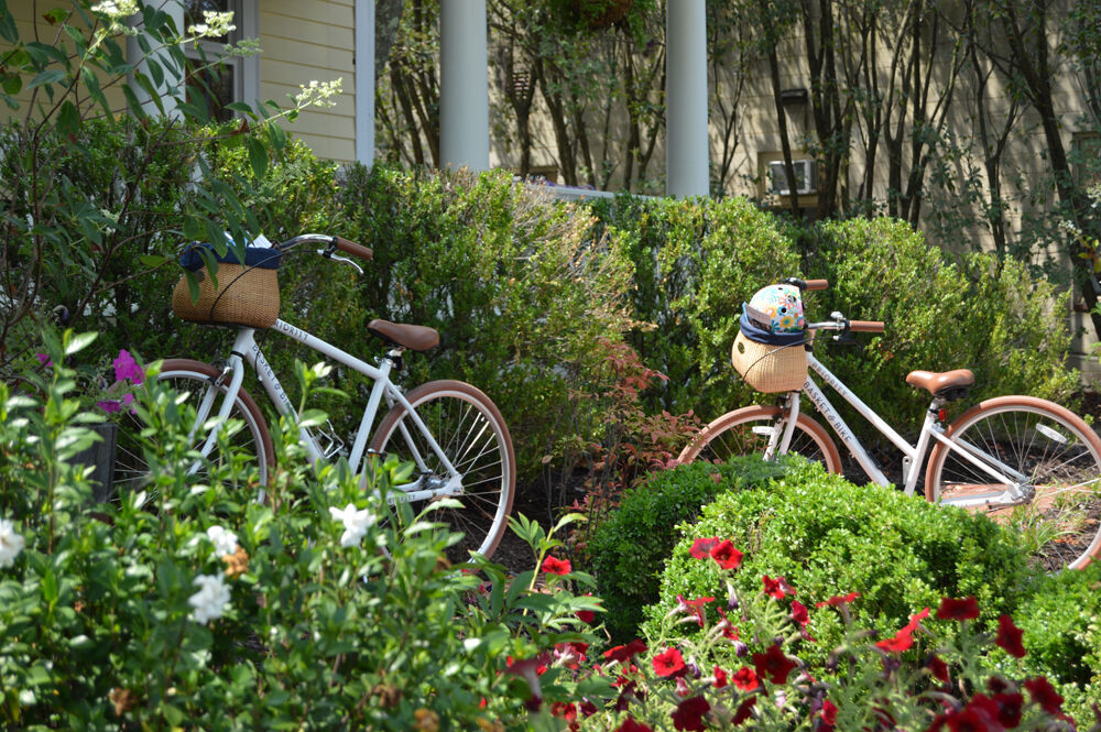Historic Garden Week